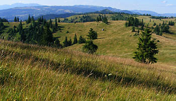 Csik in Romania
