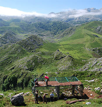 EuCAN work party in the mountains.