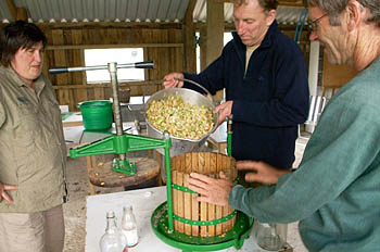 Pressing apple juice