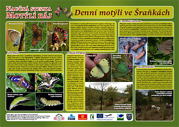 zdanice information board