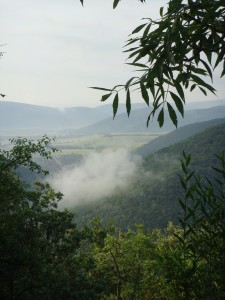 DSC08087a