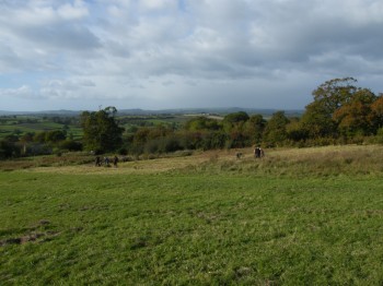 DSCF1689