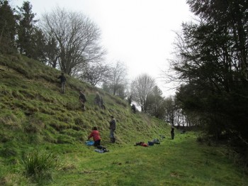 Planting thyme plants for Large Blue butterflies - working for Butterfly Conservation.