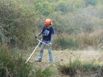 Essarts, Anne With Brushcutter (1024x768)