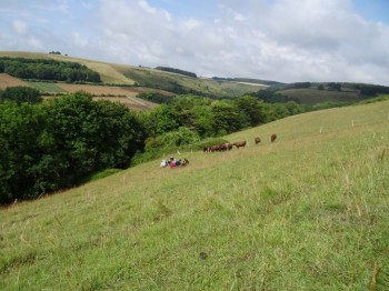 Fontmell Down