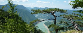 mount-tara-np
